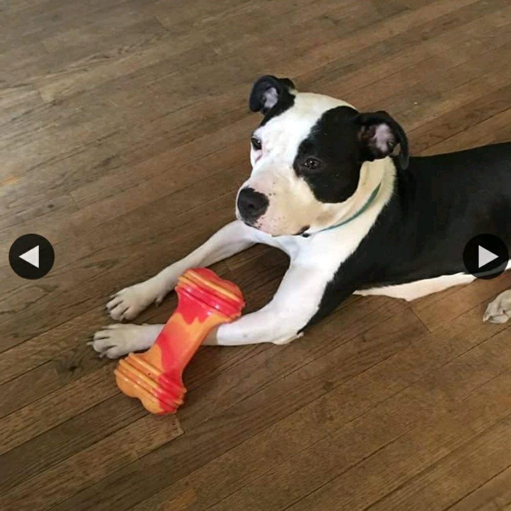 Meet your Posher, Aaron